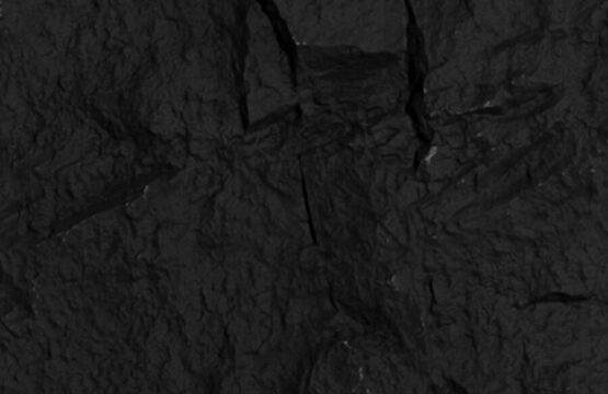 Rock Wall 3